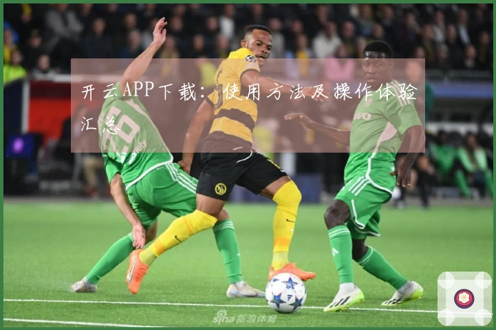 开云APP下载：使用方法及操作体验汇总